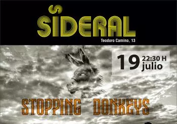 Stopping Donkeys en Albacete en Albaecte