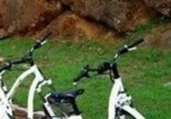 Rutas temáticas en bicicleta eléctrica. En Pozuelo de Alarcón
