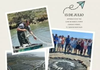 HUERTA MARINA ESTERO NATURAL : EXPERIENCIA DE ESTEROS en PUERTO REAL
