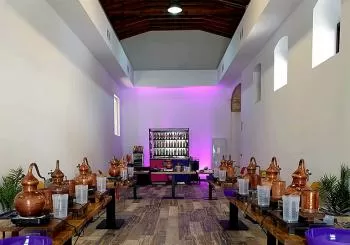 Tour guiado + taller de destilación + GIN Tonic en Sevilla