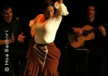 Flamenco Puro en Berlin