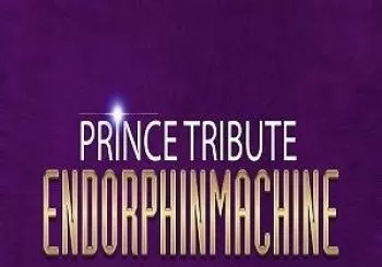 Entradas Prince Tribute Endorphinmachine en Brudenell Social Club