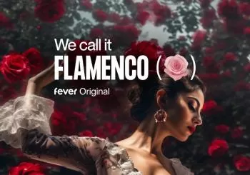 We call it Flamenco: A Dazzling Dance & Light Show en Manchester