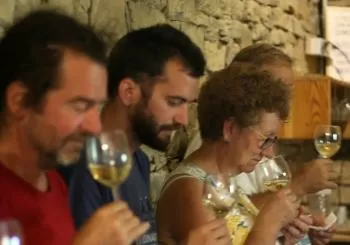 Degustación de vinos ENATE. 31 de agosto en Ascaso