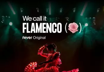 We call it Flamenco: A Dazzling Dance & Light Show en Boston