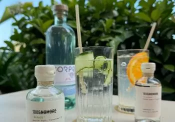 Explorando Sabores: Cata de Ginebras Artesanales de Barcelona en Goja Rooftop