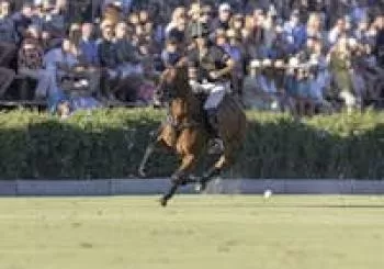 TORNEO INTERNACIONAL DE POLO 