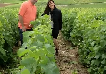 Champagne Area Small-Group Tour including a Top Champagne house & Family Winery en Paris