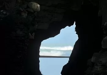 Full Day Exploring the Wild Piha Beach In Auckland