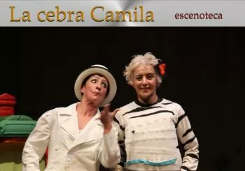 La cebra Camila en Sevilla