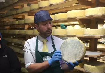 Vineyard & Cheesemaker Bus Tour of Sussex Brighton