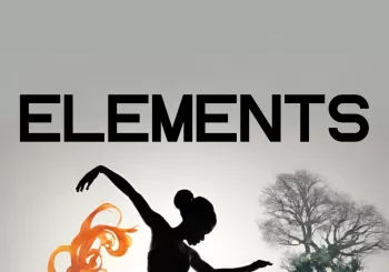 Elements en Castellar del Valles