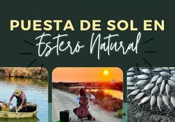 HUERTA MARINA ESTERO NATURAL : PUESTA DE SOL en PUERTO REAL