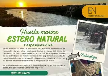 HUERTA MARINA ESTERO NATURAL : DESPESQUES 2024 en PUERTO REAL