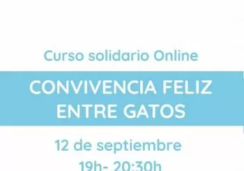 Convivencia feliz entre gatos - Curso solidario en Barcelona