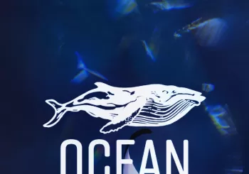 OCEAN FILM FESTIVAL 2024 Alicante en Alicante 03001