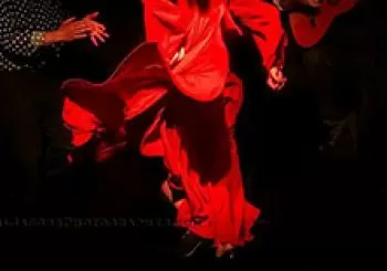 Flamenco La Exclusiva en SEVILLA