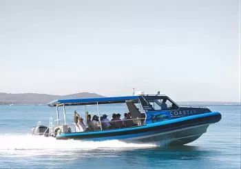 Lake Cruise and Nature Walk in Lake Macquarie en Newcastle