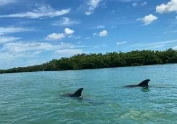 Single Kayak Rental on Big Hickory Pass Fort Myers