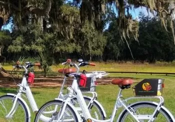 Village Bicycle Rental Free Delivery in The Villages Florida en Orlando