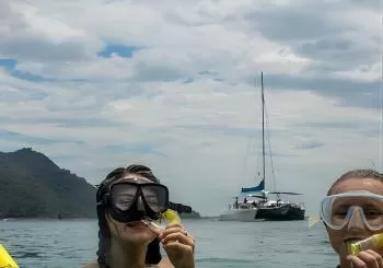 Marine Discovery + Snorkeling Cruise - Port Stephens en Newcastle
