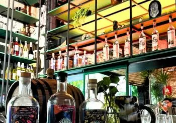 Experiencia Mexcalli + Ruta Gastronómica en Mexico City
