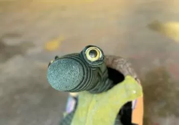 SIGUES TORTUGA, Xip Xap en Sant Martí de Tous