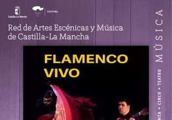 FLAMENCO VIVO en Chinchilla de Monte