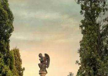 Paseo ‘Cementerio de Torrero’ - 9:30h en Zaragoza