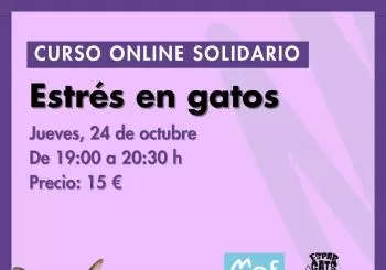 Estrés en gatos - Curso solidario online en Barcelona