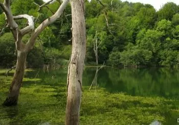 Excursión guiada 