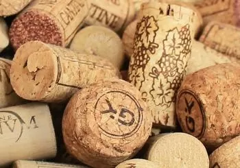 Wine + Food, Music, & More at Jersey City Wine Fest
