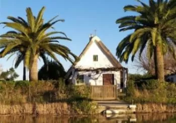 Paseos en Barca por la Albufera Valencia