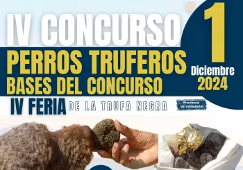 IV Concurso de Perros Truferos. 1 de Diciembre de 2024 (11:15 hs.) en Cogeces del Monte