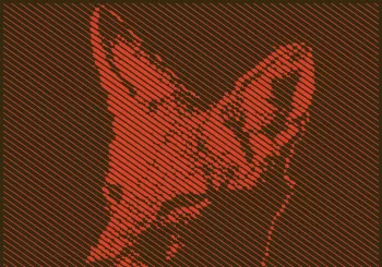 Chacal Cult & The Vil Veins en Barcelona