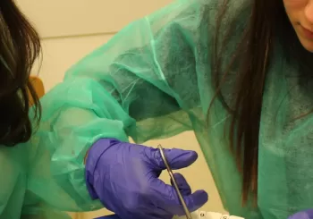 SCALPEL 2025 International Sale en Barcelona