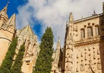Tour por Ávila y Salamanca en Madrid