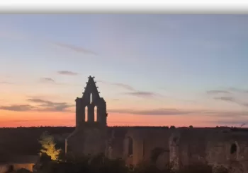 Visita guiada al Monasterio de la Armedilla. Domingo 1 de Diciembre. 15 hs. y 16 hs en Cogeces del Monte