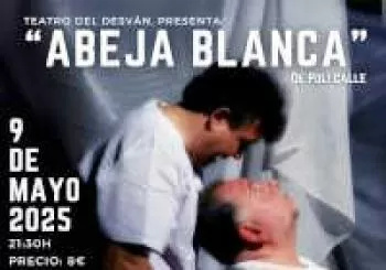 ABEJA BLANCA en MURCIA