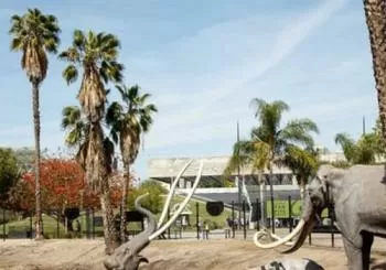 La Brea Tar Pits and Museum Admission Ticket with Excavator Tour en Los Angeles