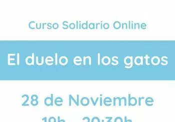 El duelo en los gatos - Curso Solidario Online en Barcelona