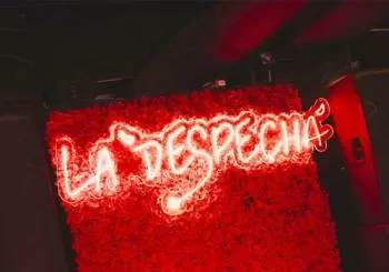 Noches de Sábado en Ponzano que lo curan toodo en La Despechá en Madrid