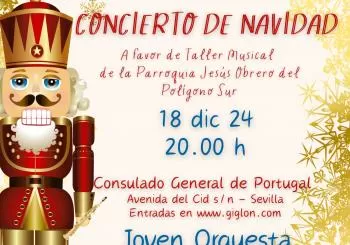Concierto Benefico JOIS en SEVILLA