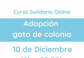 Adopción gatos colonias - Curso Solidario Online en Barcelona
