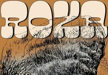 ¡¡ROZA PRESENTA SU 
