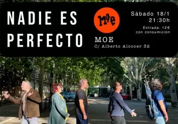 NADIE ES PERFECTO en MADRID