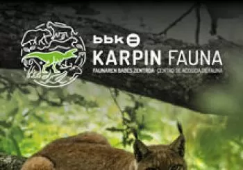 Visita sin guía BBK Karpin en Valle de Carranza