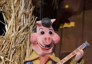 El Concert dels TRES PORQUETS en Barcelona