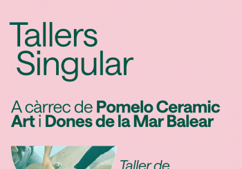 Taller de ceràmica i biodiversitat marina en Palma