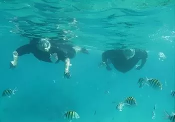 Luxury Snorkeling on Your Vacation Exclusively Private Guaranteed en West Palm Beach
